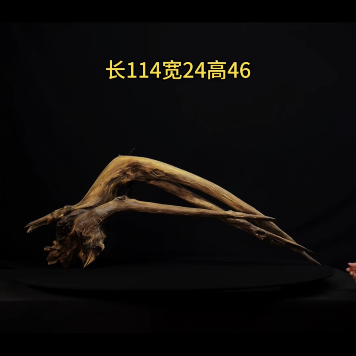 张大狼造景沉木长114cm拱桥飘枝 南美鱼缸造景 秒沉