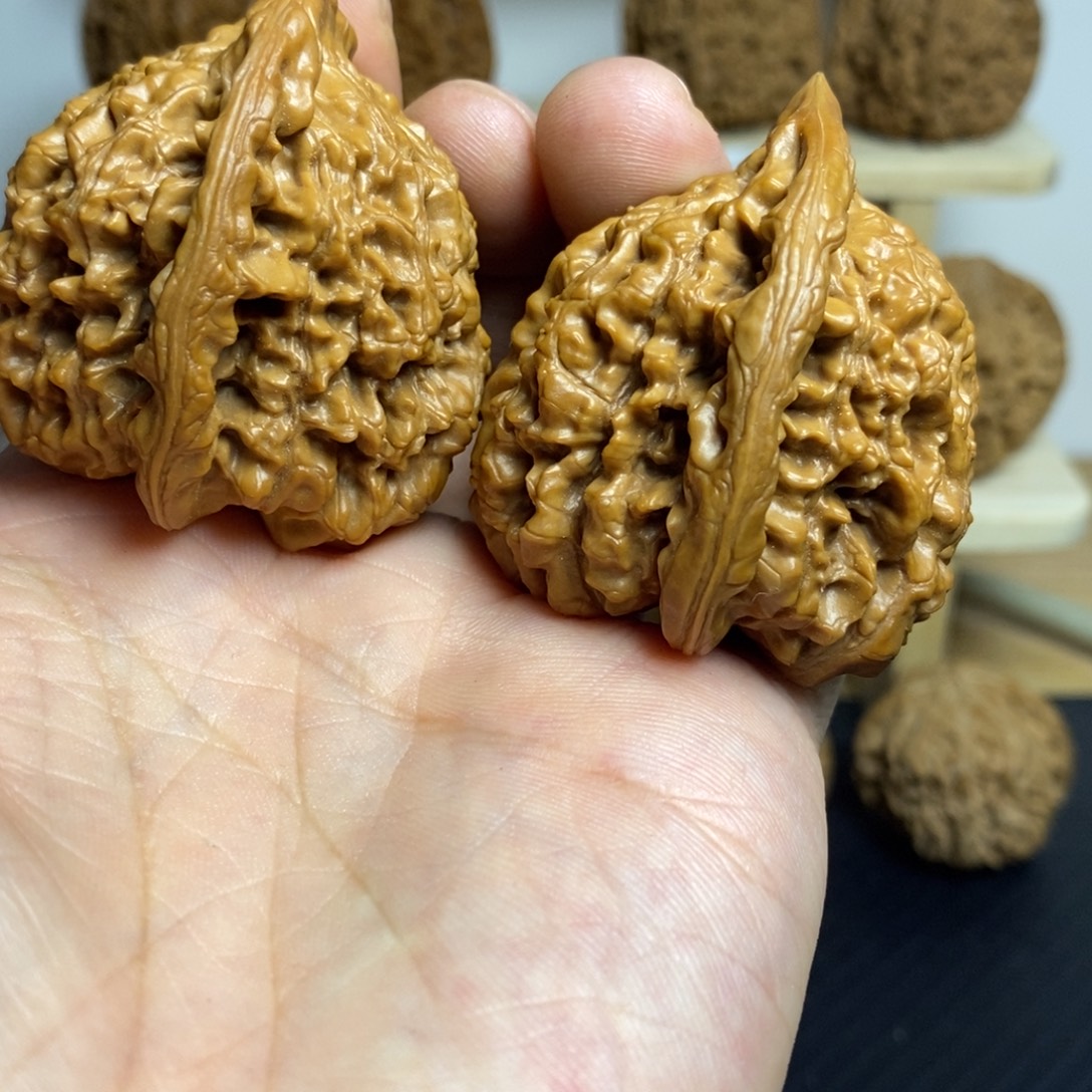 大叶紫檀（黑酸枝木类）45官帽