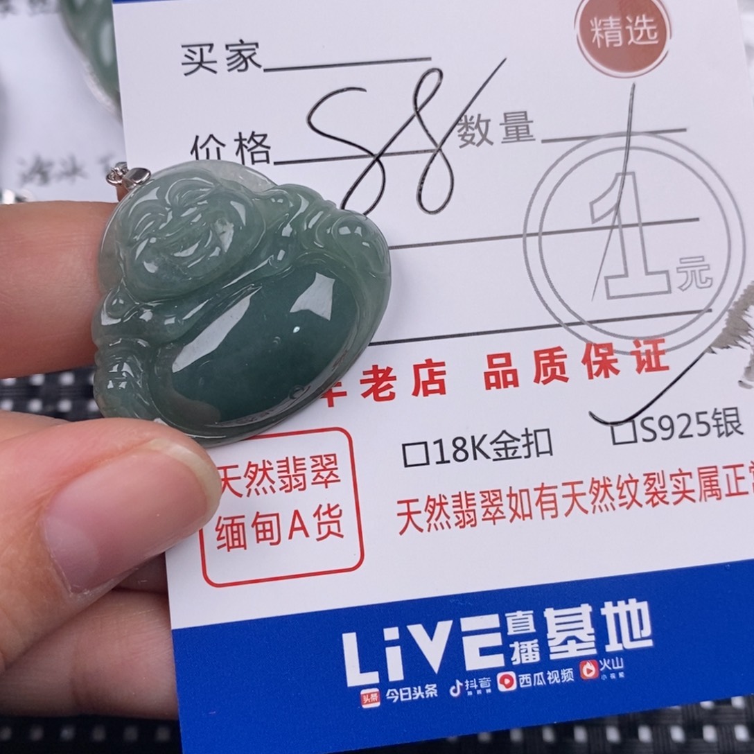 翡翠银S925镶嵌颈饰