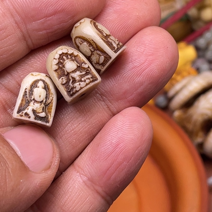 驼骨摆件人工养殖