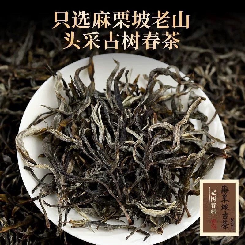麻栗坡老树春茶普洱茶生茶散茶试喝装