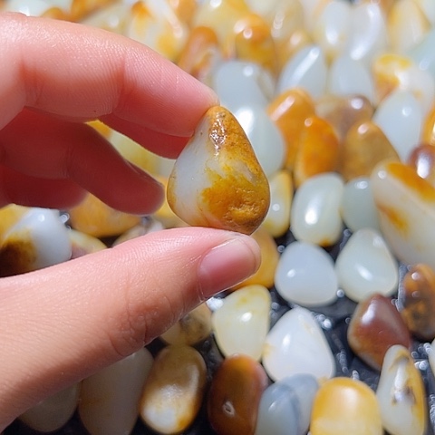 和田玉（糖玉）未镶嵌颈饰9.8克