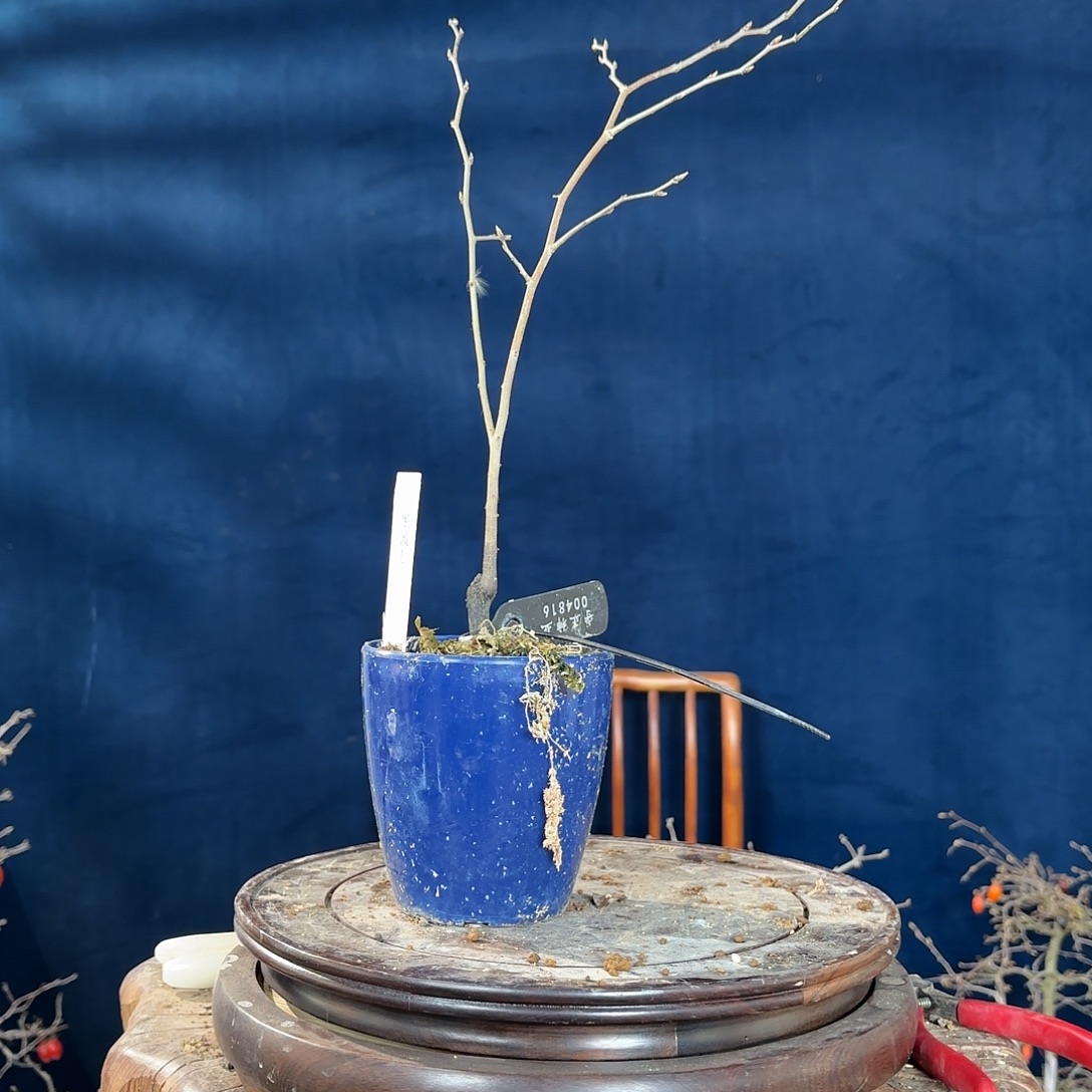 沃***剑哈哈哈哈哈哈哈哈哈哈