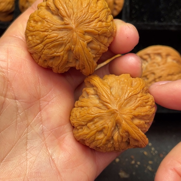 文玩核桃把件秦岭山脉的