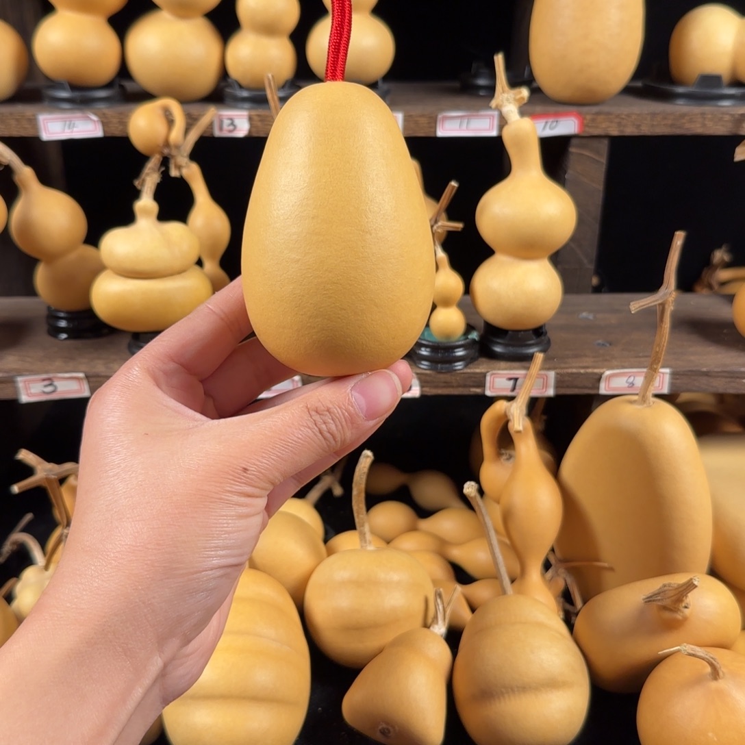 敬***海葫芦葫芦葫芦葫芦葫芦