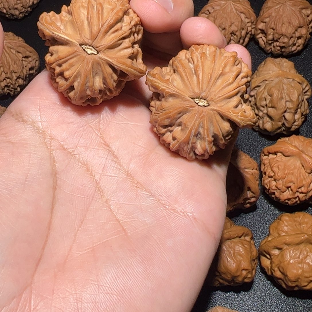 L***.全品40尺磨盘狮子头