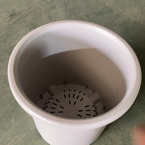 树脂四季12号灰白无托2个