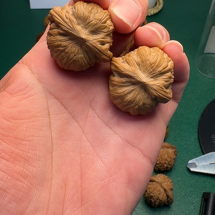 文玩核桃把件闪7，山地战鼓34尺