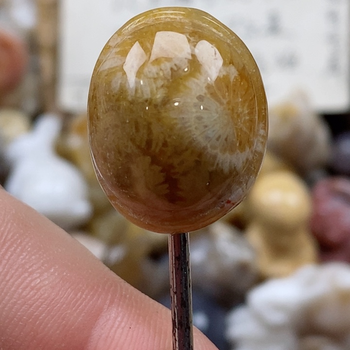 颈饰未镶嵌硅化珊瑚（珊瑚玉）