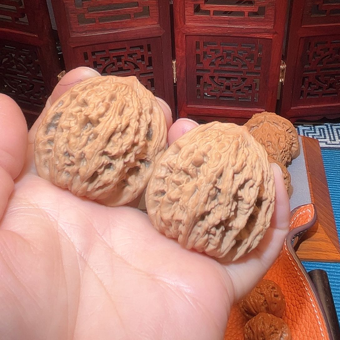 41全品虎头……福利……