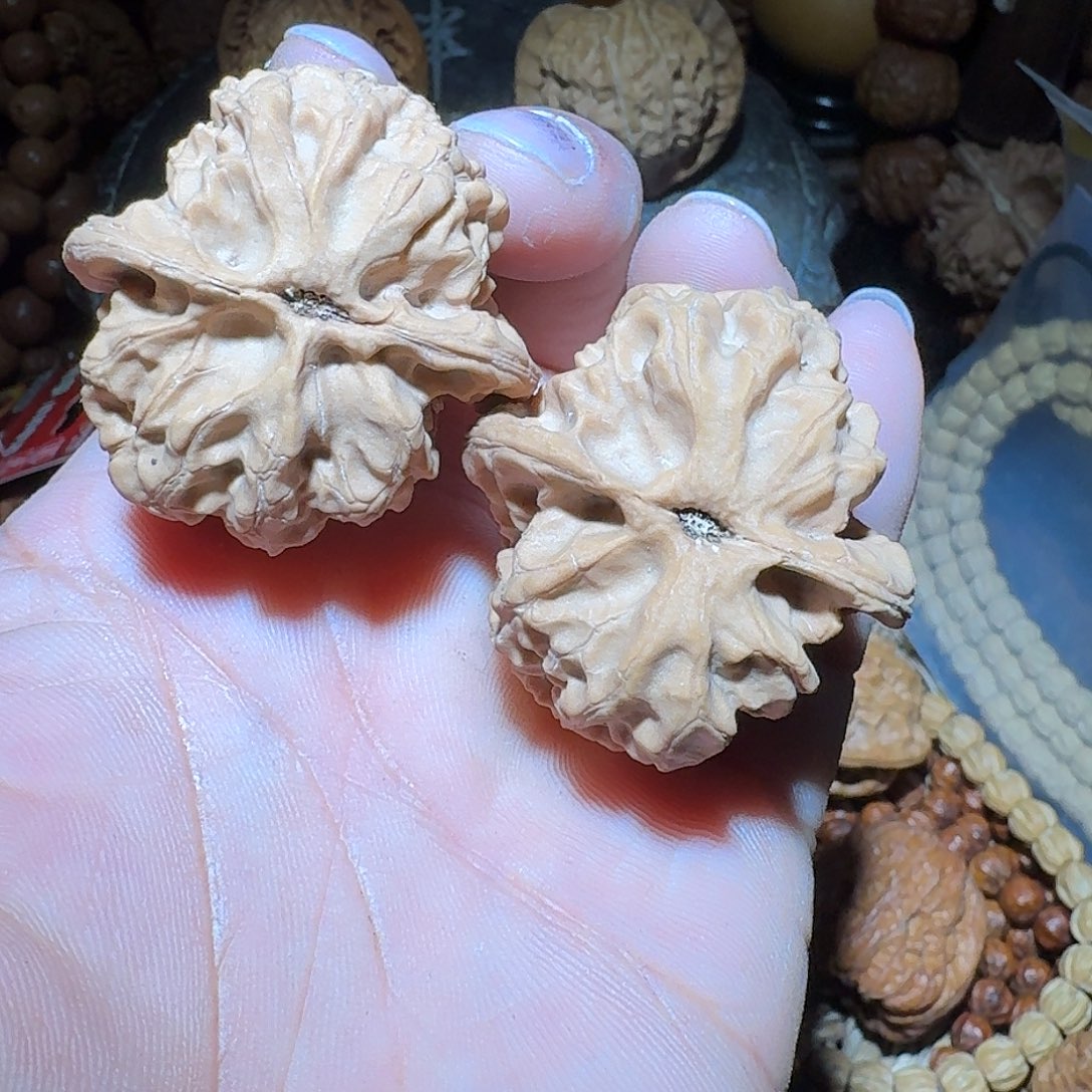 马***达核桃40尺全品梨木台