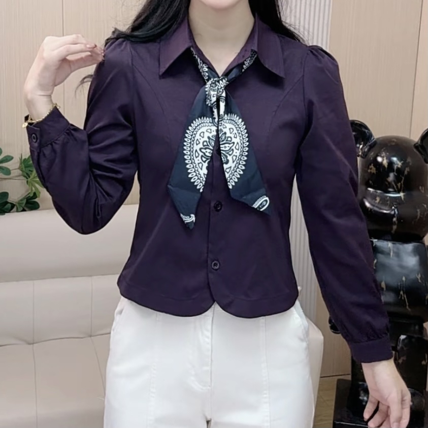 YRM2025秋装新款时尚轻奢洋气百搭气质收腰显瘦厚款女士衬衫25158