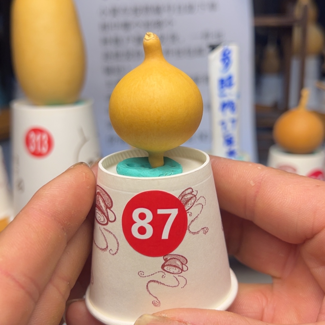 闪电购自助下单编号87
