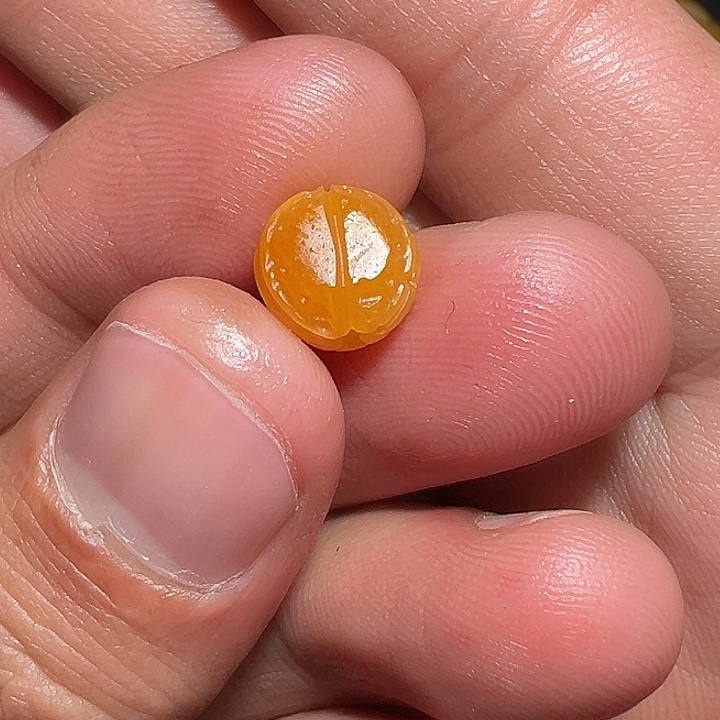 草***了和田玉未镶嵌颈饰