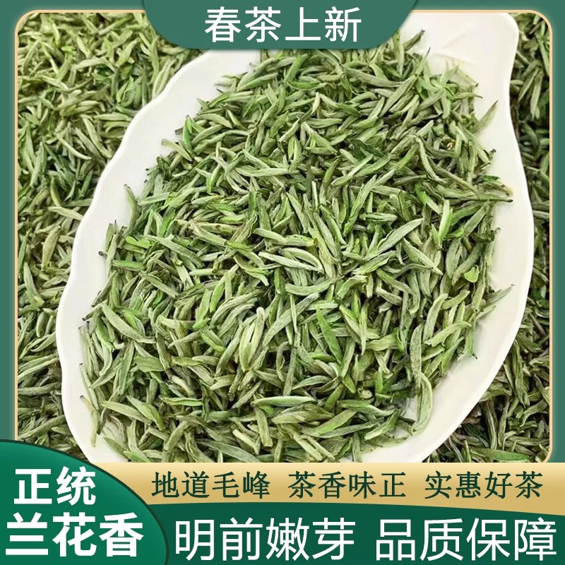 明前头采早春毛峰云雾嫩芽新茶颗颗嫩芽纯花香