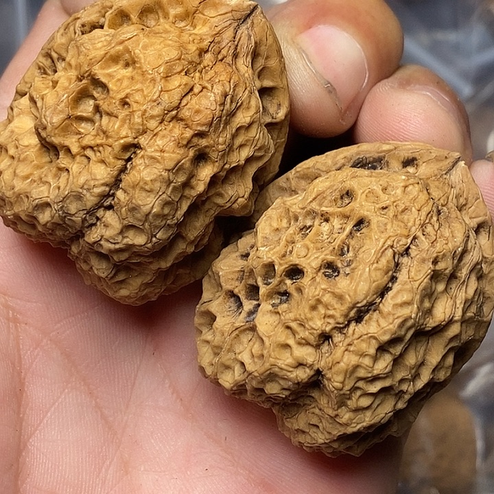 文玩核桃把件志成云铁文玩50