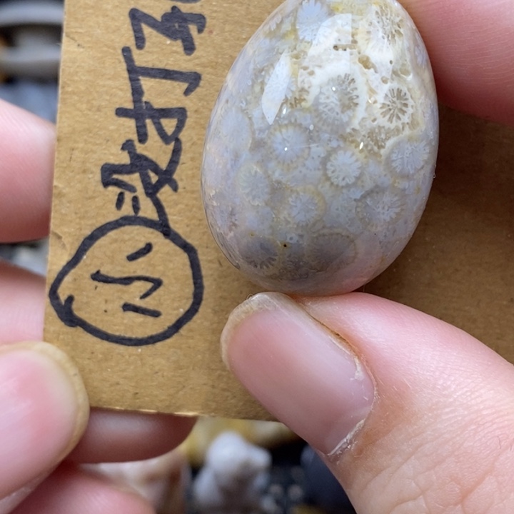 硅化珊瑚（珊瑚玉）未镶嵌颈饰有瑕