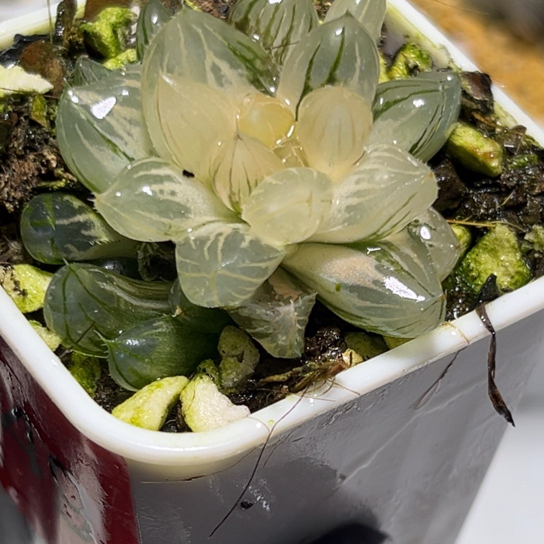 恭喜发财大吉大利1206