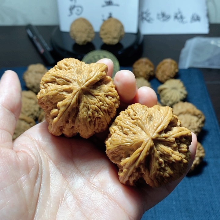 桃核吊坠吸**狼平谷大粗筋47