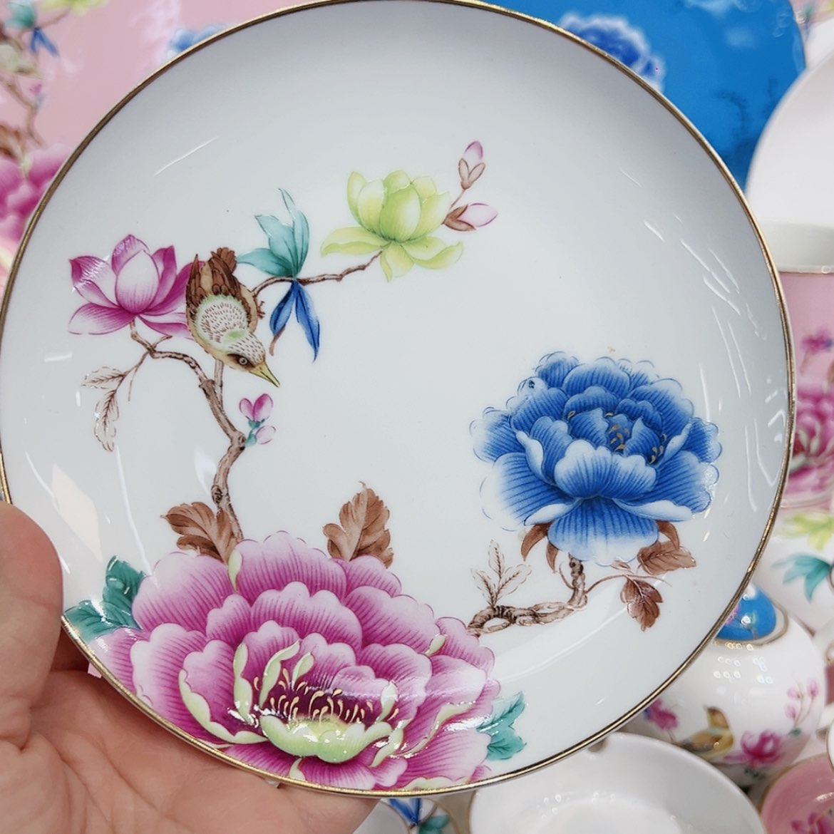 【闪购商品】骨瓷6寸