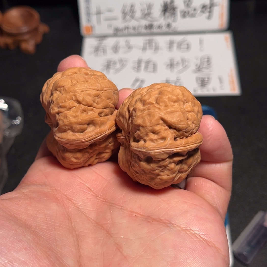 37边40肚小肉蛤蟆