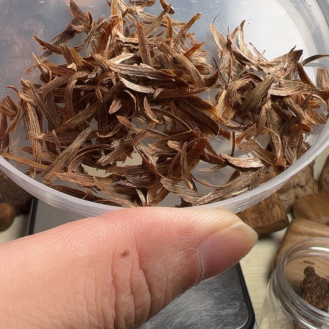 沉香沉香碎屑惠安沉香九分沉勾丝1克多样性