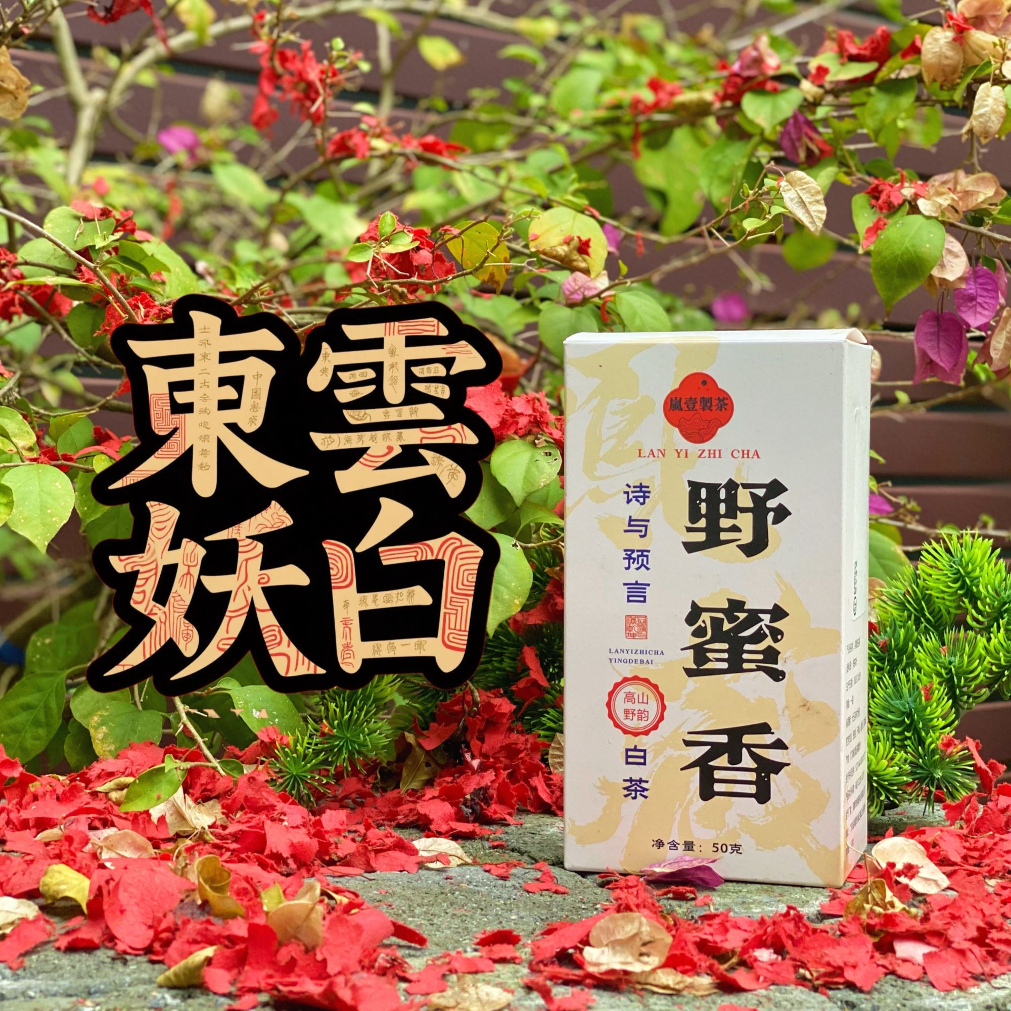 【東雲妖白】奶香乌龙韵 寿眉白茶 高香高山