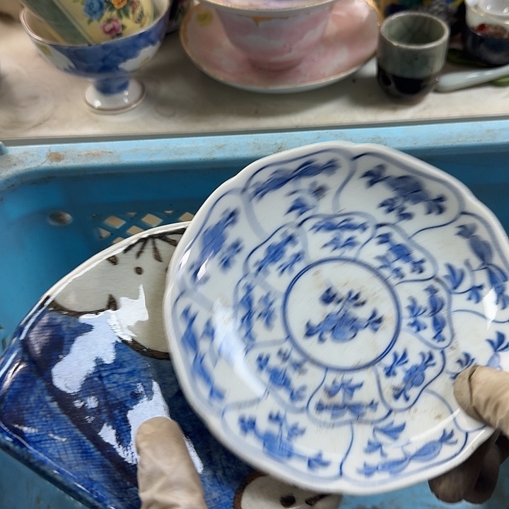 碟开播啦…开播啦