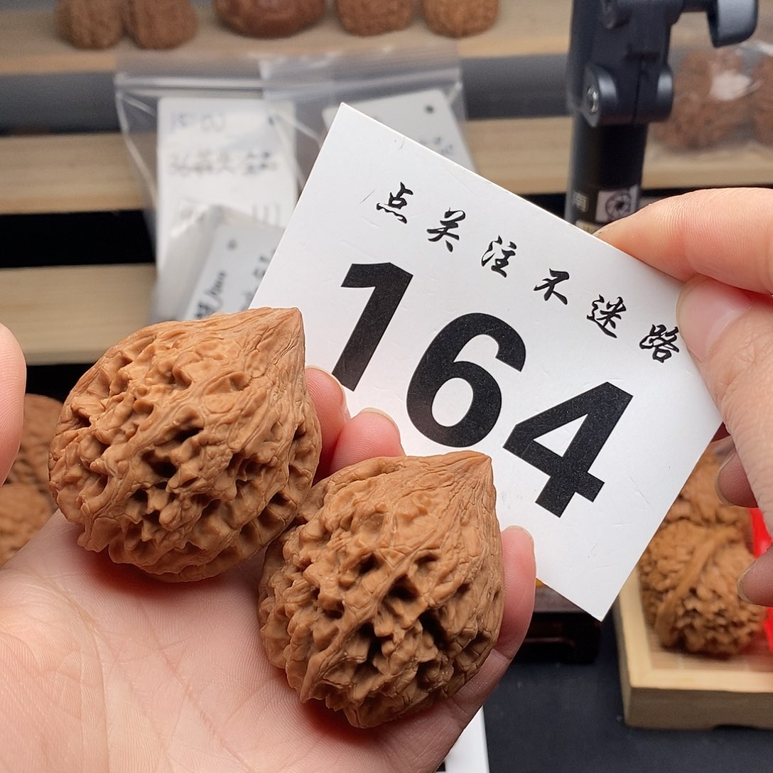 核桃42大沽石。       
