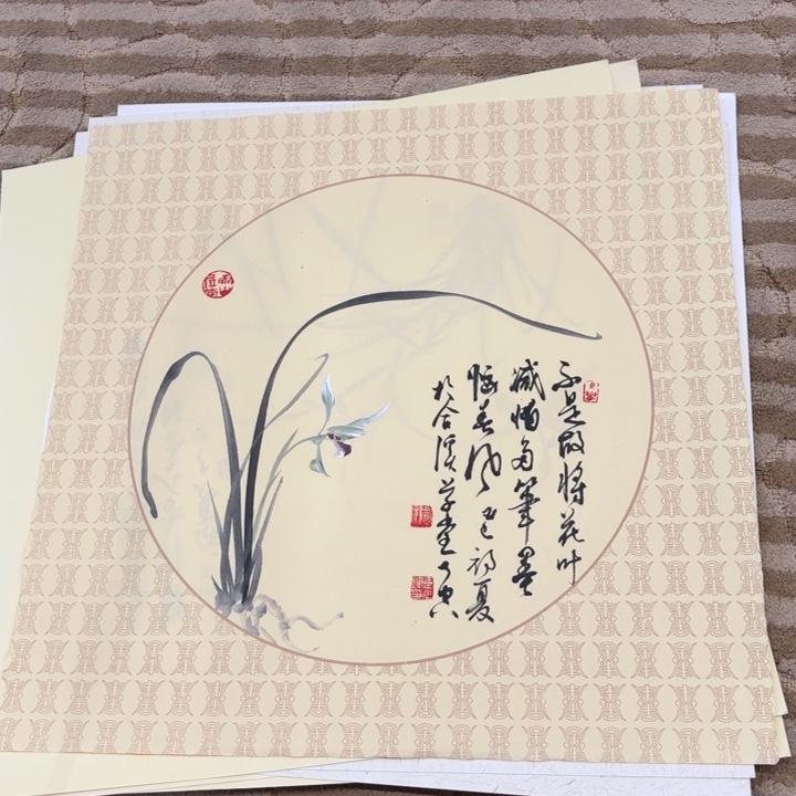 国画花鸟的翅膀和羽毛50.50