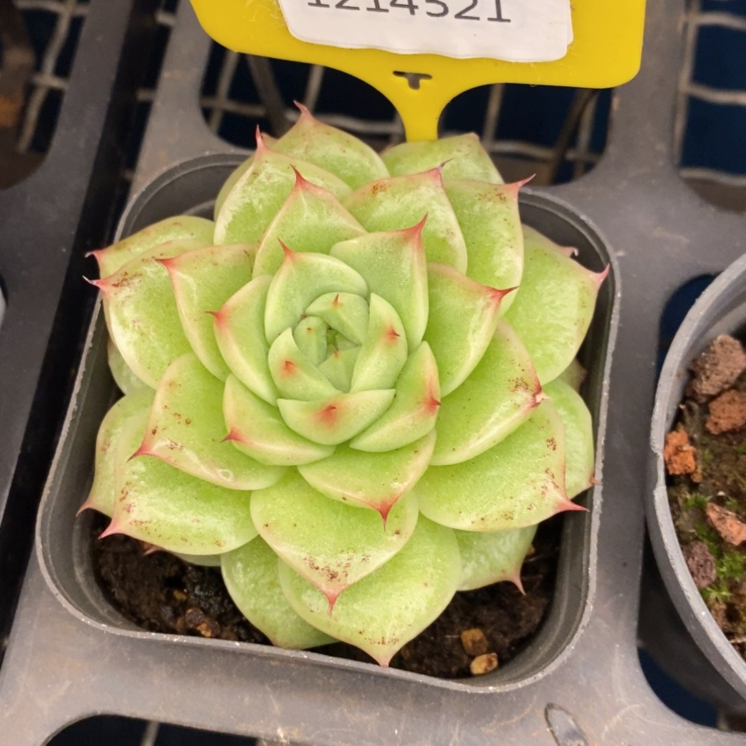 福利多多。1214521