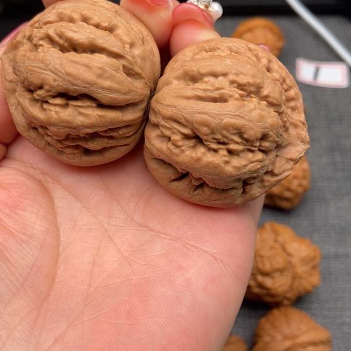 文玩核桃把件霸王龙42