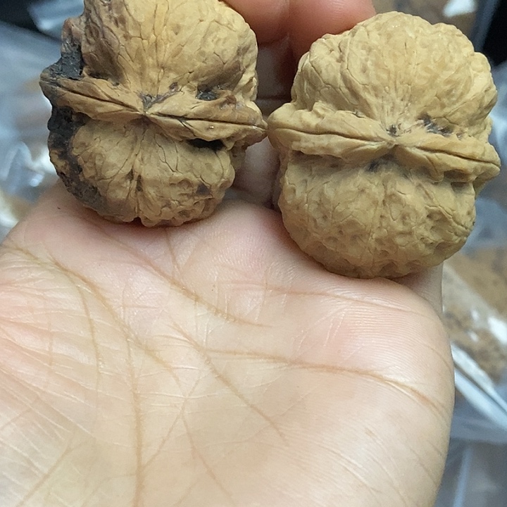 把件文玩核桃云南铁核桃基地24