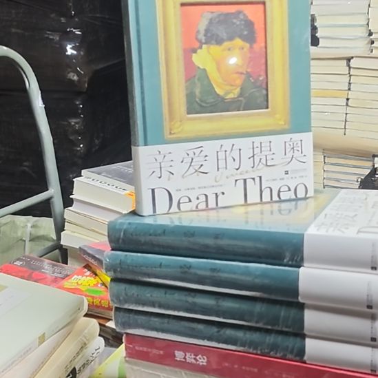亲爱的提奥精装塑封库存书