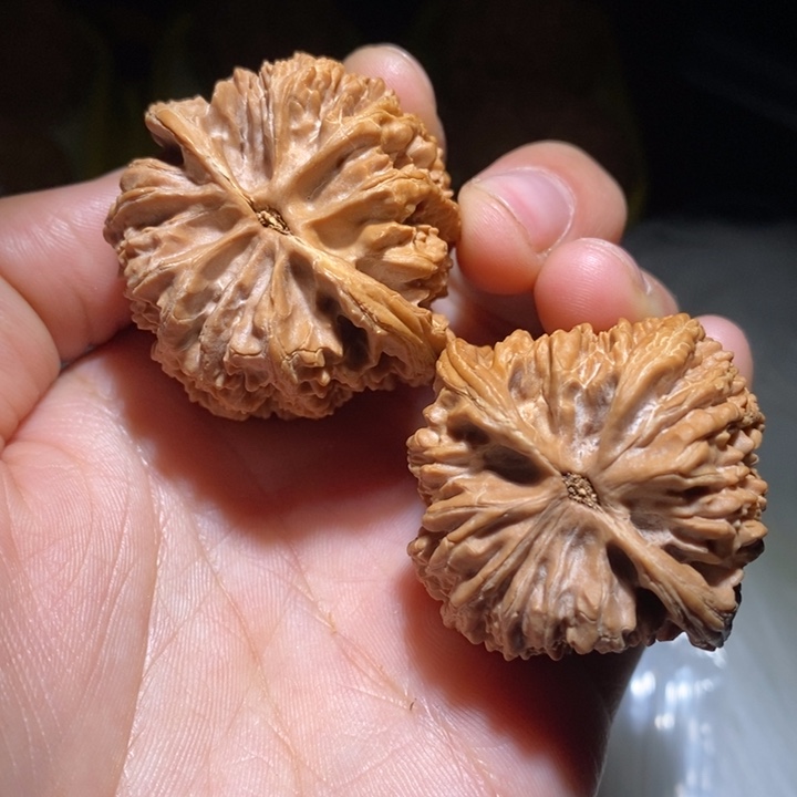 @***哥文玩核桃吊坠精品课程建设的基本理论