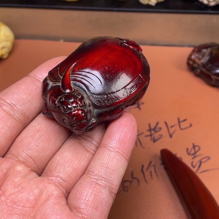 驼骨其他人工养殖