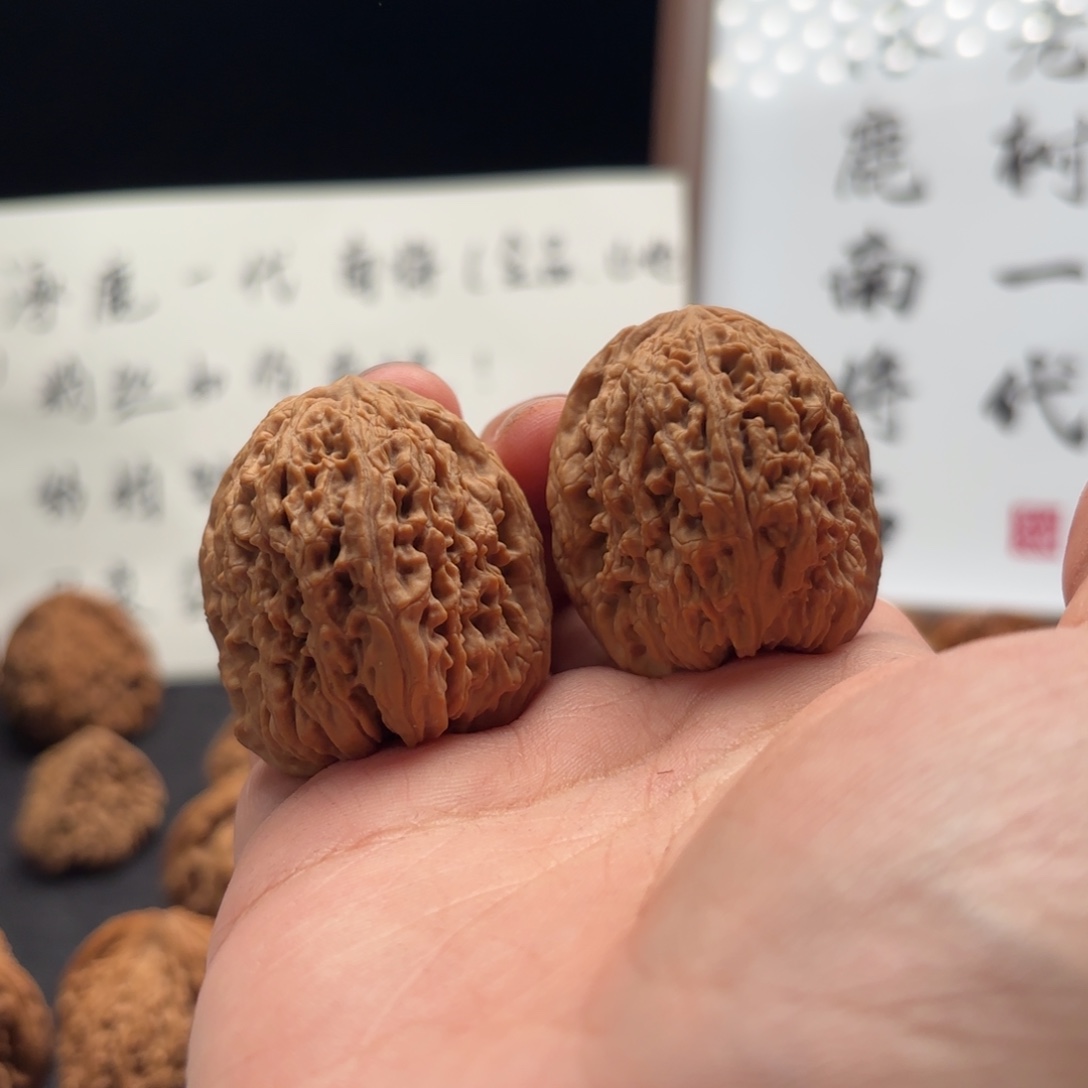 故***是核桃涿鹿南疆涿鹿