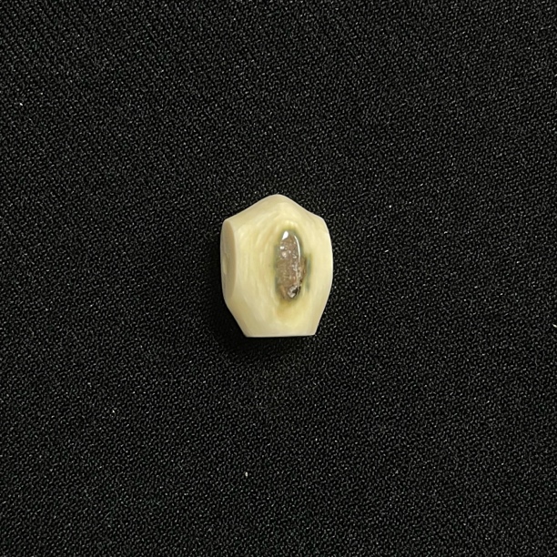 PT178 蓝眼鲨鱼背三通 只做天然猛犸牙