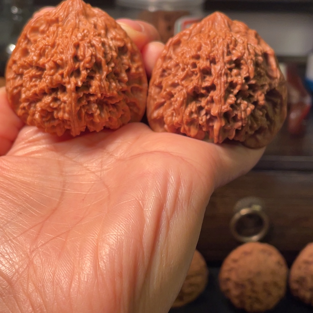 用***8桃核吊坠满天星全品