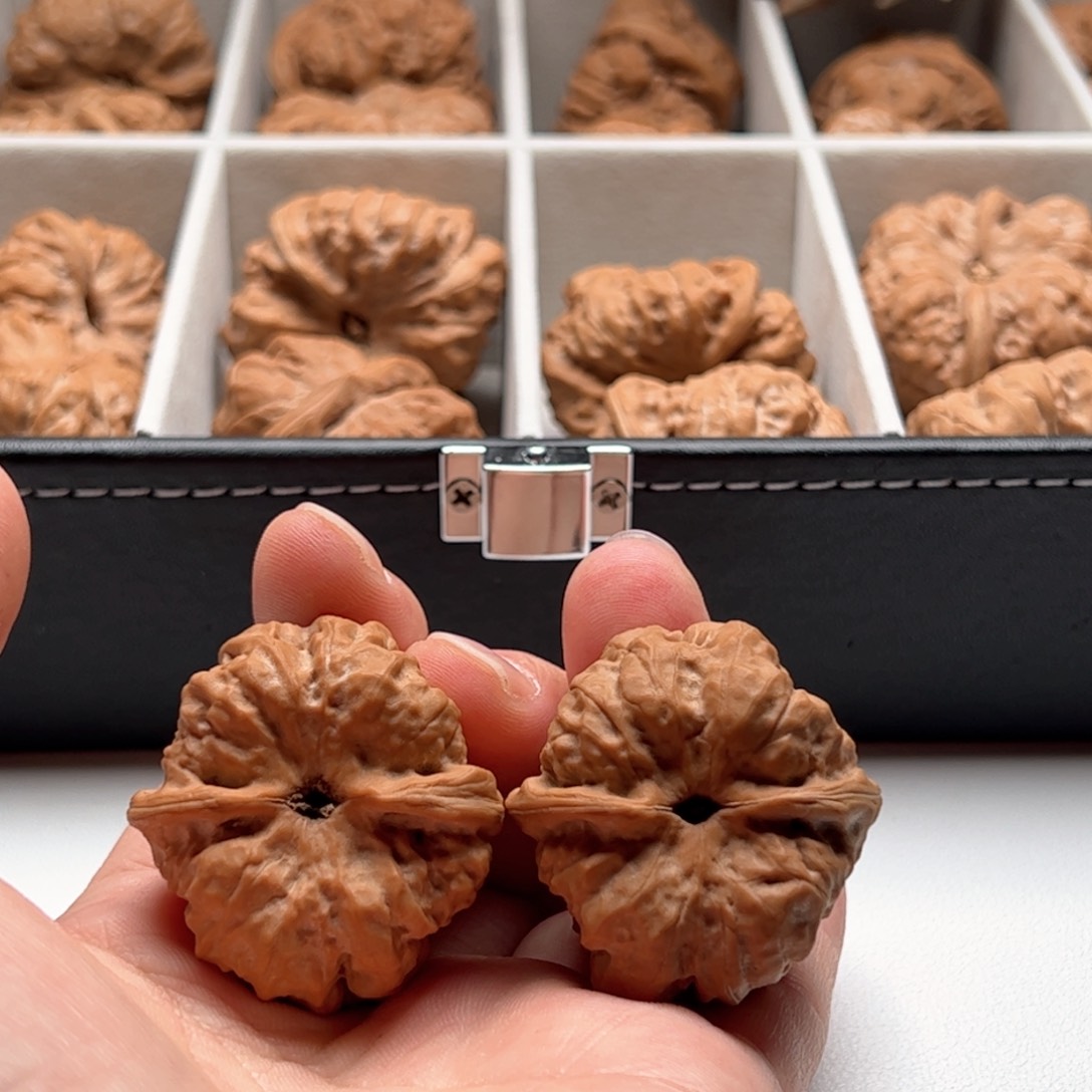 核桃把件茶**喝延庆蛤蟆