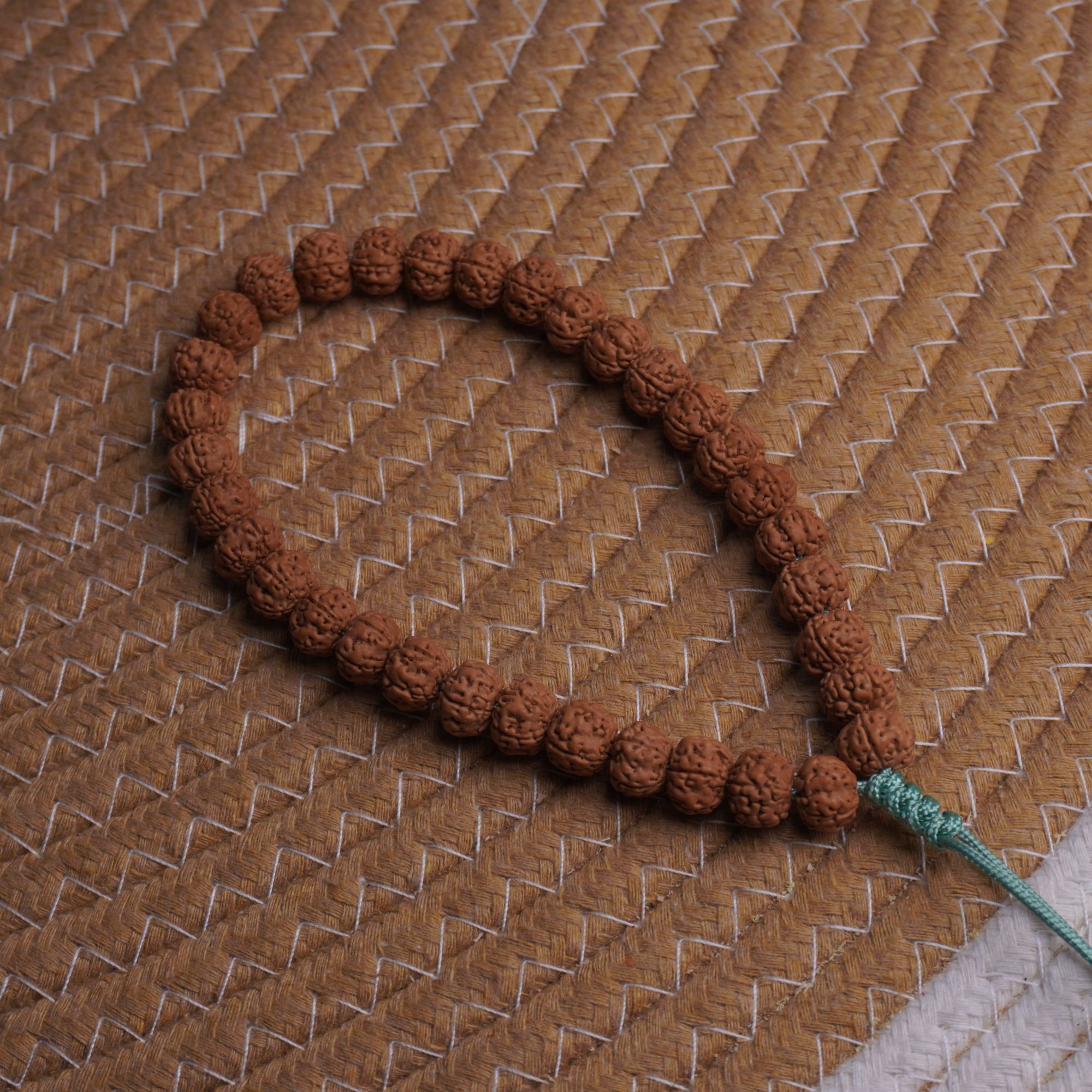 【体验级】入门树王小金刚菩提