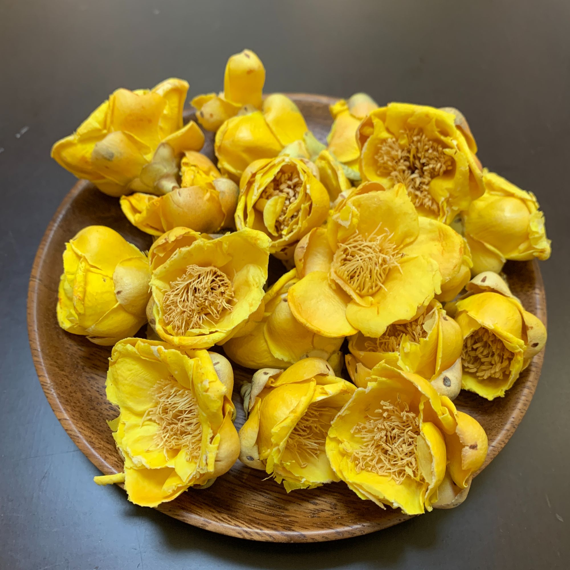 【极禾恩】精选福袋天然金花果