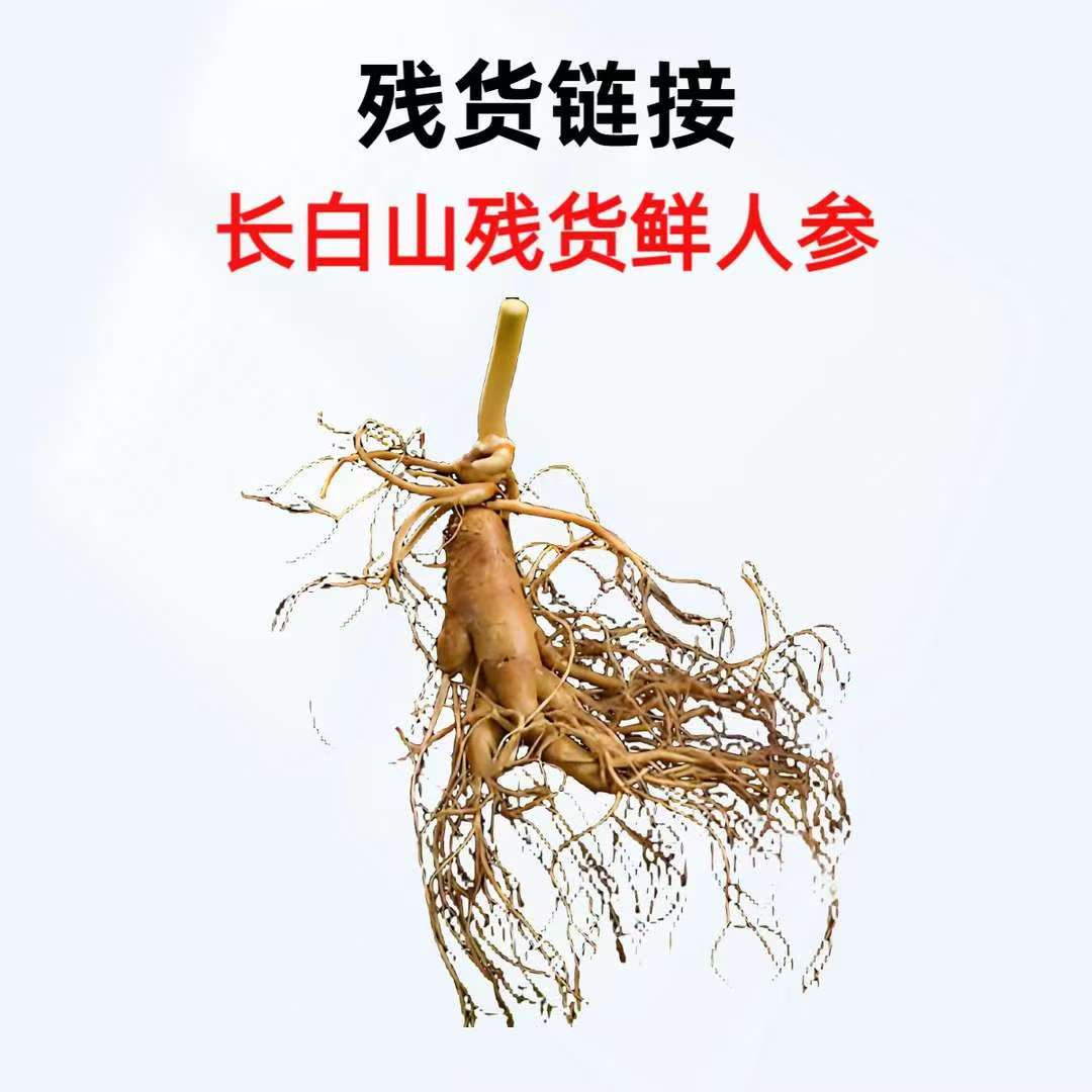 东北特产人参鲜人参，新挖人参改价链接，一单一改价，以直播间为准