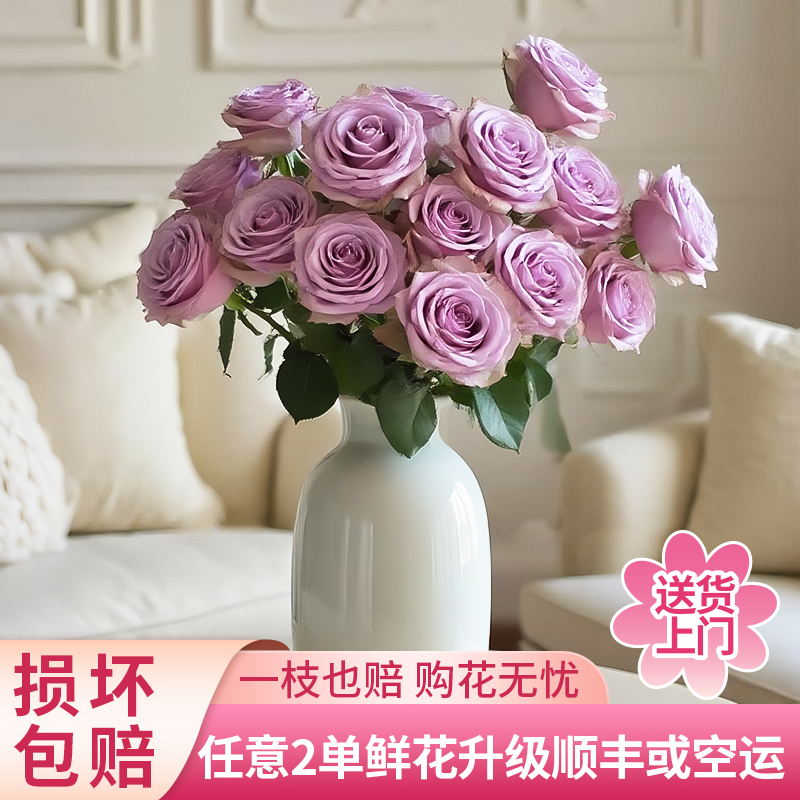 【黄梦宇】紫霞仙子单头玫瑰全场鲜花任意满两单及以上包邮送货上门