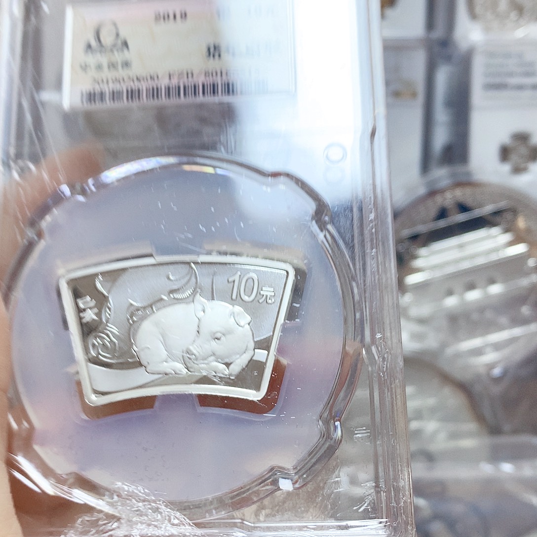纯银2019扇形猪银币中金国衡