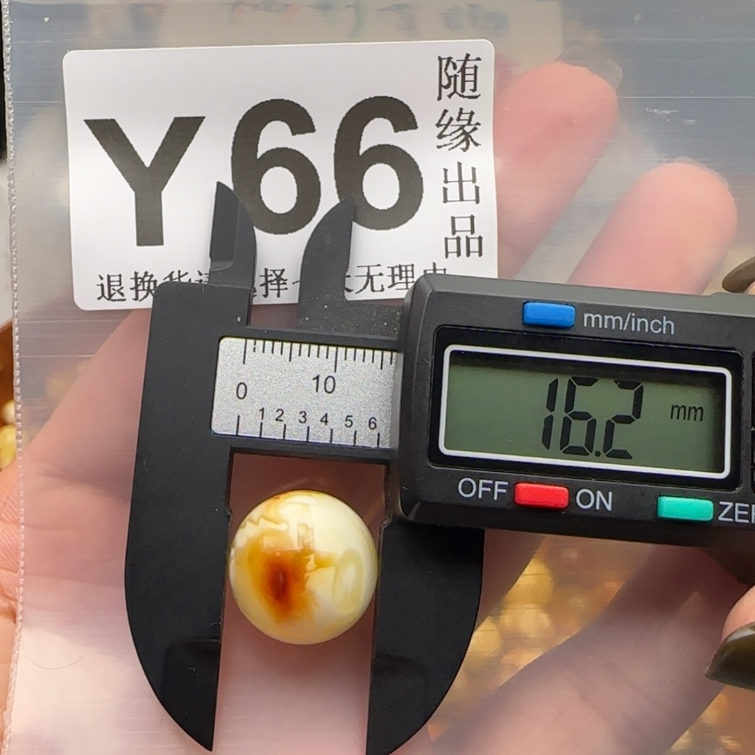 琥珀未镶嵌裸石16尺寸