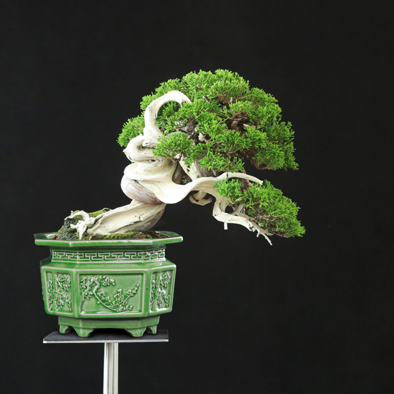 【直播浮力843】14*10cm花盆+底座浮雕冰裂春夏秋冬创意八方八足盆