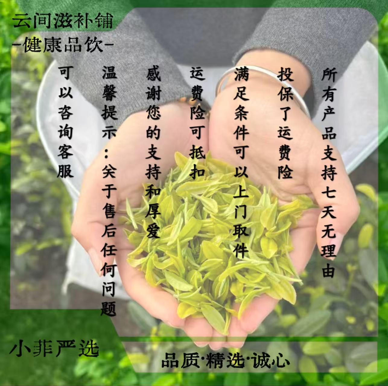  延龄花  湖北神农架  百搭养生茶③