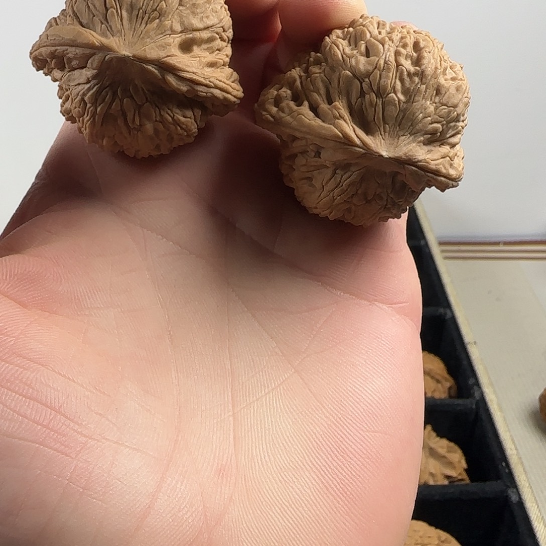 文玩核桃吊坠哈哈哈哈哈哈哈哈哈