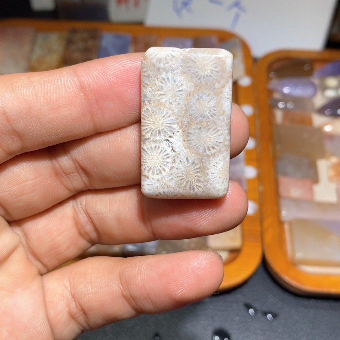 【闪购商品】硅化玉颈饰未镶嵌谦*